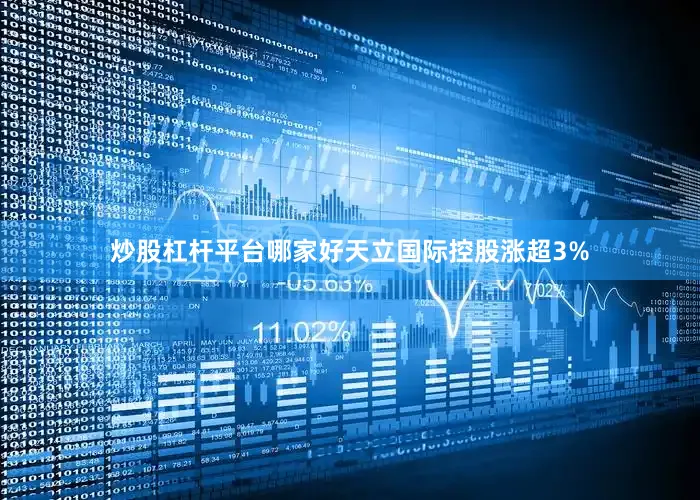 炒股杠杆平台哪家好天立国际控股涨超3%