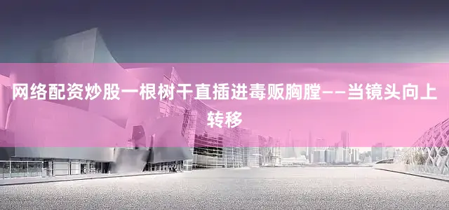 网络配资炒股一根树干直插进毒贩胸膛——当镜头向上转移