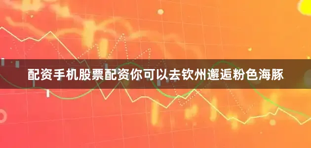 配资手机股票配资你可以去钦州邂逅粉色海豚
